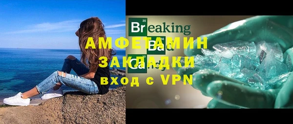 спиды Вяземский