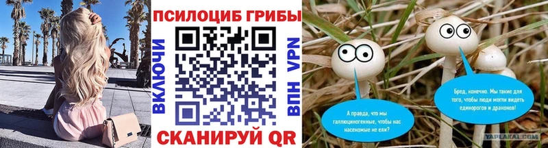 Галлюциногенные грибы Psilocybe  OMG вход  Истра 